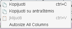 autosize all columns.PNG